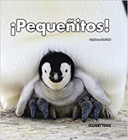 ¡PEQUEÑITOS!