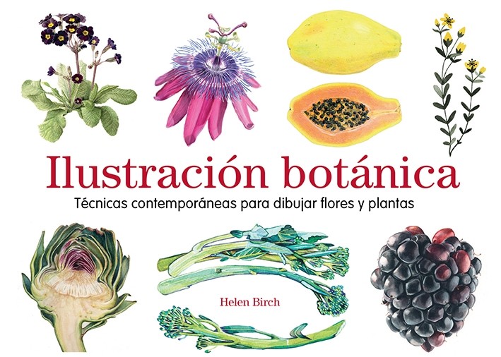 ILUSTRACION BOTANICA