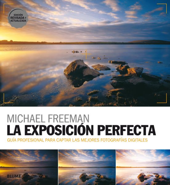 EXPOSICION PERFECTA, LA