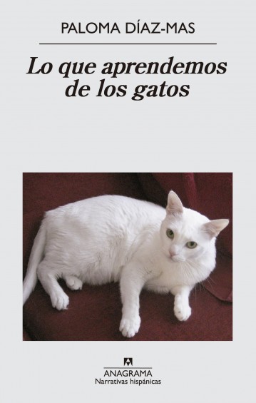 QUE APRENDEMOS DE LOS GATOS, LO