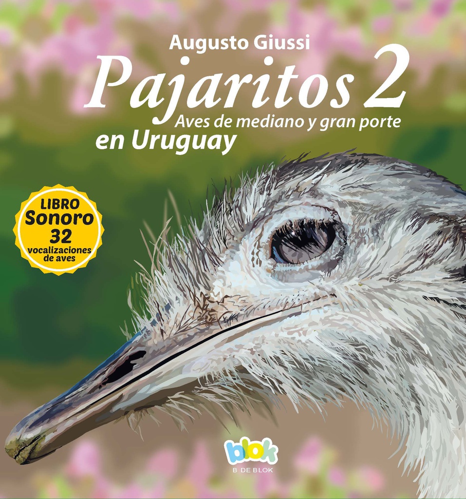 PAJARITOS EN URUGUAY 2 AVES DE MEDIANO Y GRAN PORTE