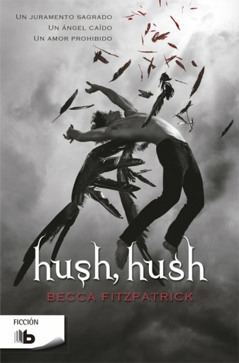 HUSH HUSH (HUSH HUSH 1)