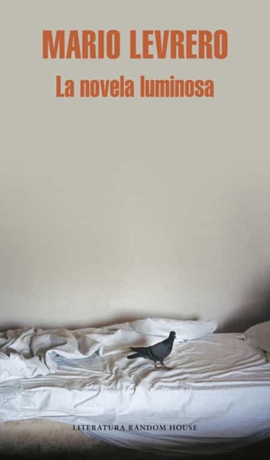 NOVELA LUMINOSA, LA