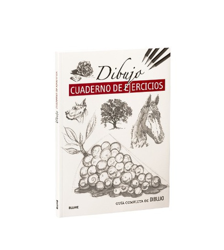 DIBUJO. CUADERNO DE EJERCICIOS