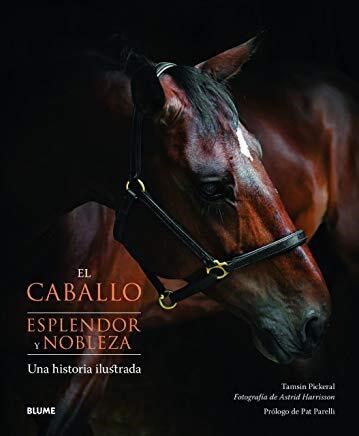 CABALLO, EL ESPLENDOR Y NOBLEZA