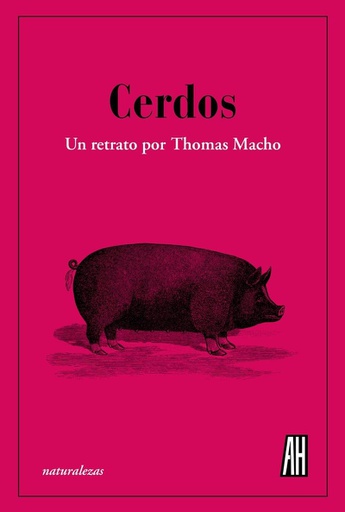 CERDOS - UN RETRATO POR THOMAS MACHO