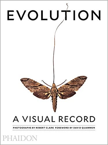 EVOLUTION. A VISUAL RECORD